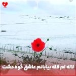 دانلود آهنگ لاله ام لاله بیابانم عاشق کوه دشت دامانم